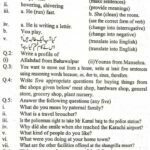 AIOU Past Paper English-I 207 Code